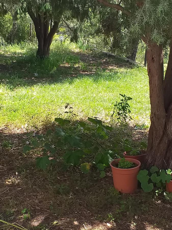 B&B Daillu Olbia Buitenkant foto