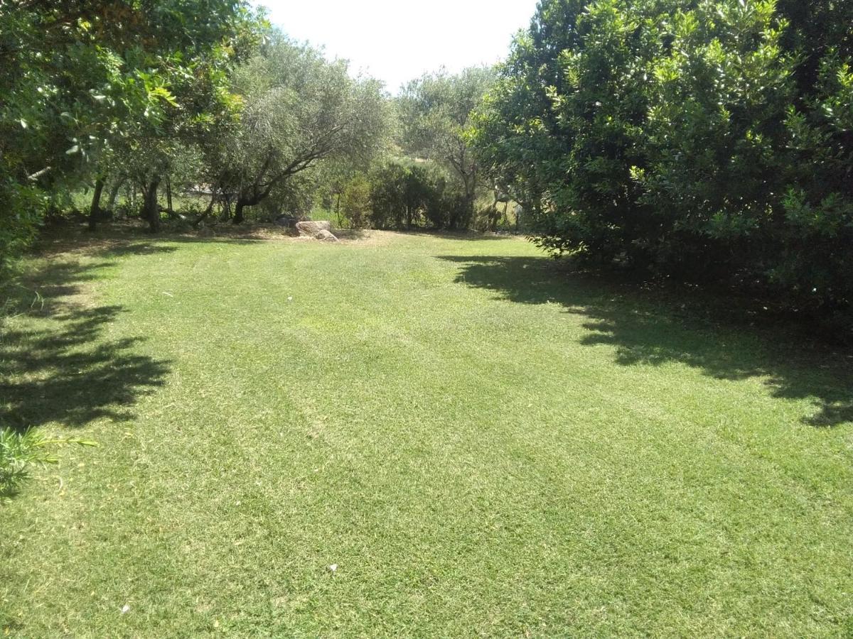 B&B Daillu Olbia Buitenkant foto