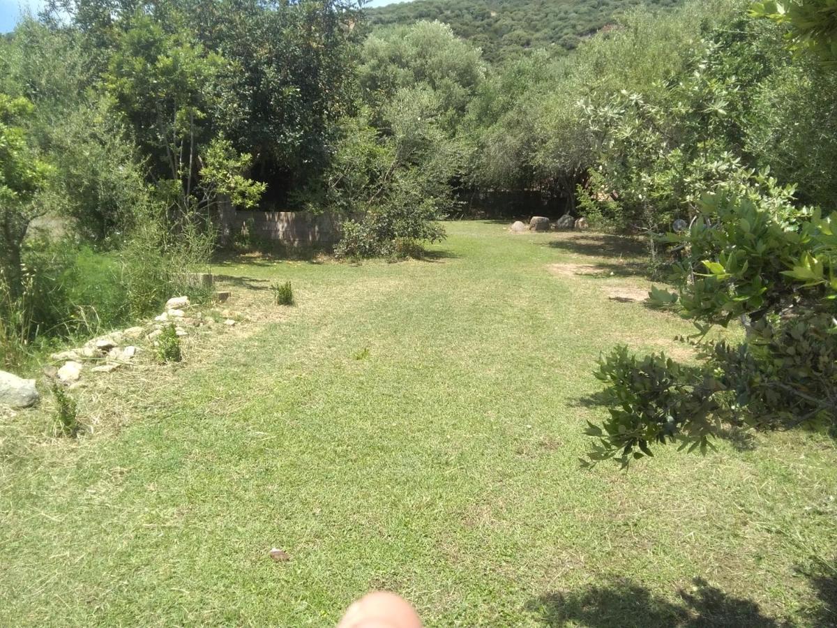 B&B Daillu Olbia Buitenkant foto
