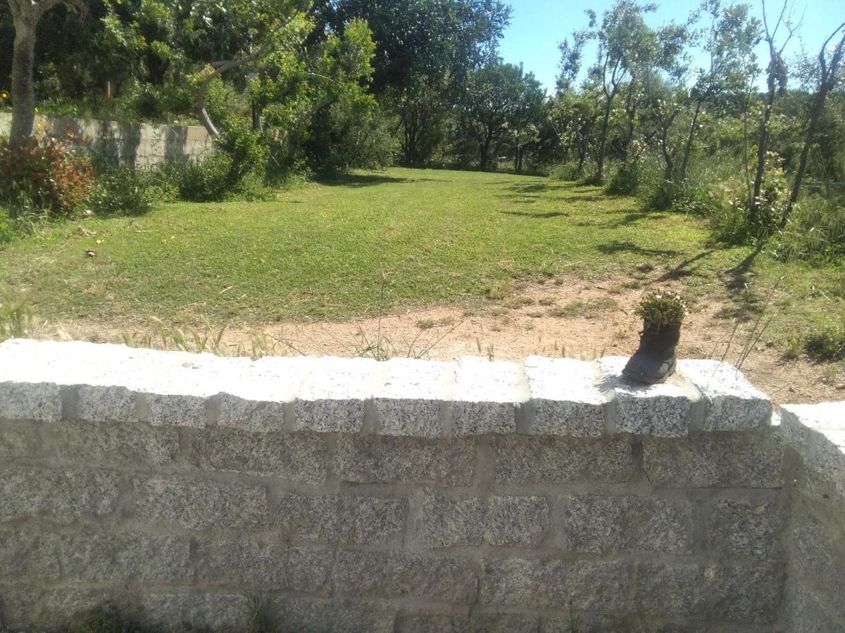 B&B Daillu Olbia Buitenkant foto