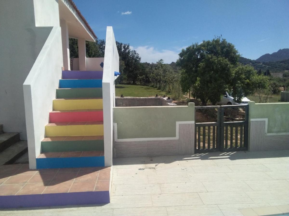 B&B Daillu Olbia Buitenkant foto